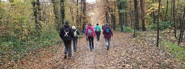 Foret marche